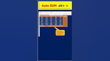 💥Excel Auto Sum Shortcut (Alt + =): The Quickest Way to Total Your Data #shorts