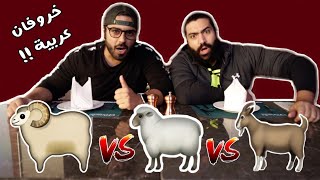 خروف حري ضد نعيمي ضد سواكني |  Arab Fat Tail Sheeps