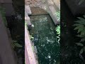 Kerala