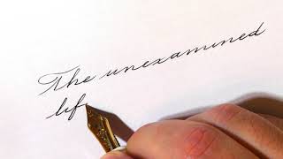 How to write an inspirational quote in Spencerian handwriting style with a fountain pen #6 screenshot 1