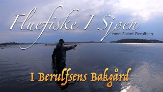 Fluefiske i sjøen. Episode 1 - 2024. I Berulfsens Bakgård. Med Fluefiskern Eivind Berulfsen.