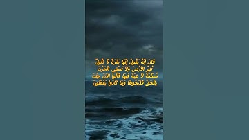 سورة البقرة اية 71 - مع صوت البحر بصوت جميل - قَالَ إِنَّهُ يَقُولُ إِنَّهَا بَقَرَةٌ لاَّ ذَلُولٌ