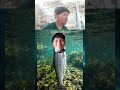 Try Not To Laugh Challenge 30 #funnyvideo #viralvideo #meme #laugh #challenge