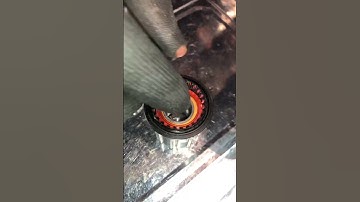 Maintenance Hub Dt Swiss Ratchet #youtubeshorts #bikemaintenance