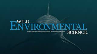 Wes942 Extreme Sharks Of The World Uk