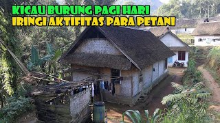 Kicau Burung Bersautan Di Dedaunan..Kilatan Sinar Matahari Pagi..Terasa Sangat Damai Di Kampung Ini