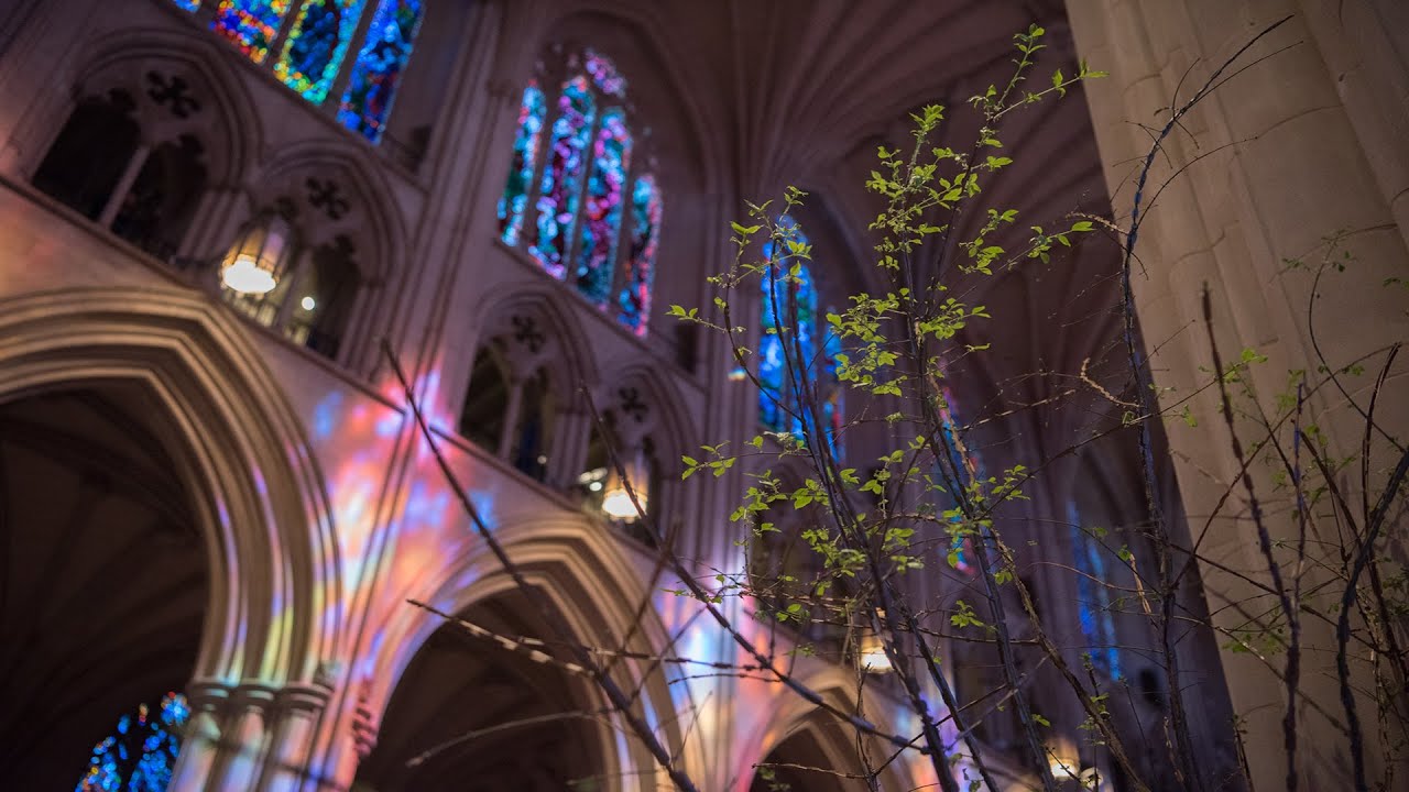 3.3.24 Washington National Cathedral Sunday Holy Eucharist Worship
