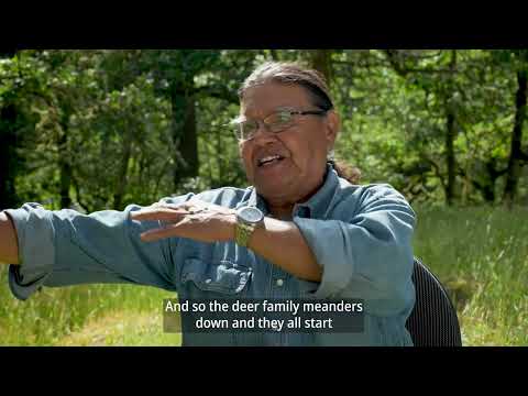 Coming Home To Grandmother S Garden