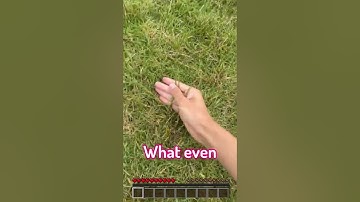 Most REALISTIC texture pack in Minecraft