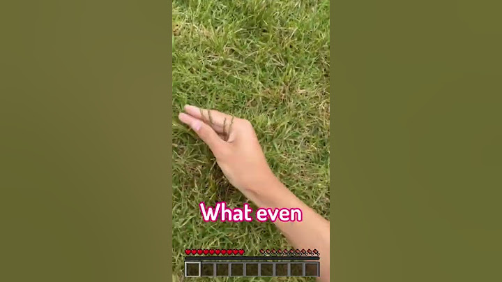 Most REALISTIC texture pack in Minecraft