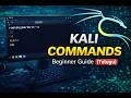 Kali Linux Basic Commands for Beginners | Practical Tutorial (Telugu)