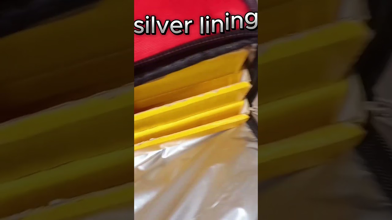 Insulated pizza pouch 