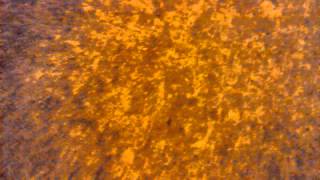 Niño Rompe Su Celular Por Q Cre Q Esta Roto