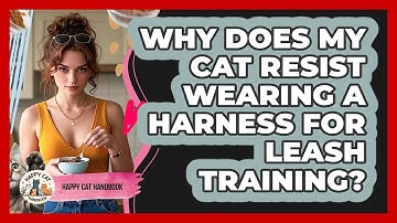 Why Does My Cat Resist Wearing A Harness For Leash Training? - Happy Cat Handbook