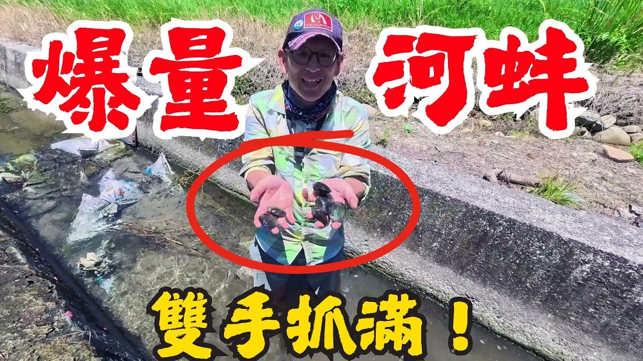 💥赤腳下水圳摸蚌!沒想到「爆量河蚌」多到滿出來?重溫小時候的感動!🦪|Maxcatch|小物釣|永裕|魚蚌共生|螯蝦|#fishing #fishingvideo #fishinglife 縮圖