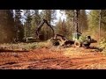 Timber Harvesting: Part 1 (logging)