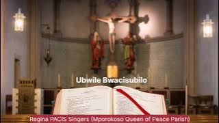 Catholic Song | Ubwile Bwacisubilo | Regina Pacis Singers (Mporokoso Queen of Peace Parish)