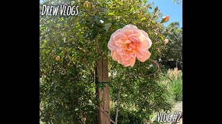 Visiting Descanso Garden Vlog #2