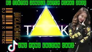 NEW DJ BAD LIAR 2022 JUNGLE DUTCH VIRAL TIKTOK