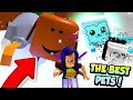 Getting BRUH PET, LENNY BOX PET, and PUFFERFISH PET! *60,000 robux* in Roblox Bubble Gum Simulator!