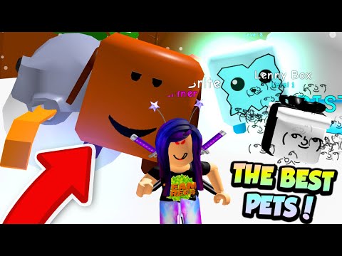 Getting Bruh Pet Lenny Box Pet And Pufferfish Pet 60 000 Robux In Roblox Bubble Gum Simulator Youtube - starting over as a noob no gamepasses roblox bubble gum simulator