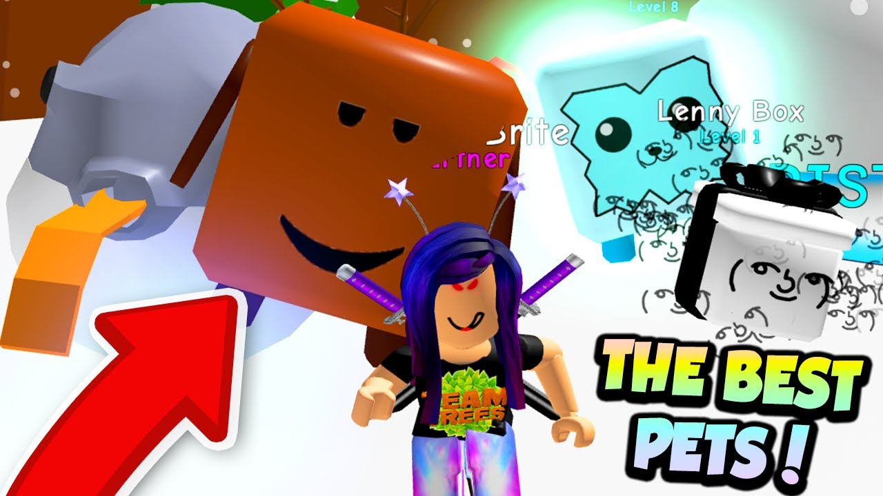 Getting Bruh Pet Lenny Box Pet And Pufferfish Pet 60 000 Robux In Roblox Bubble Gum Simulator Youtube - lenny face roblox id
