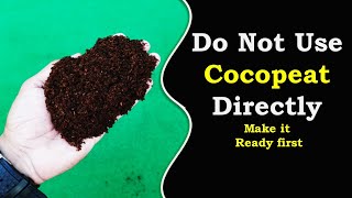 How to use cocopeat for growing plants - part 1