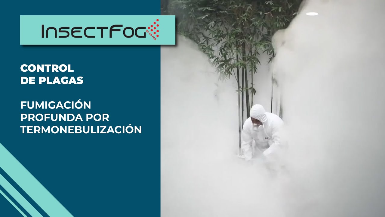 Fumigación y control de plagas por termonebulización | InsectFog - YouTube