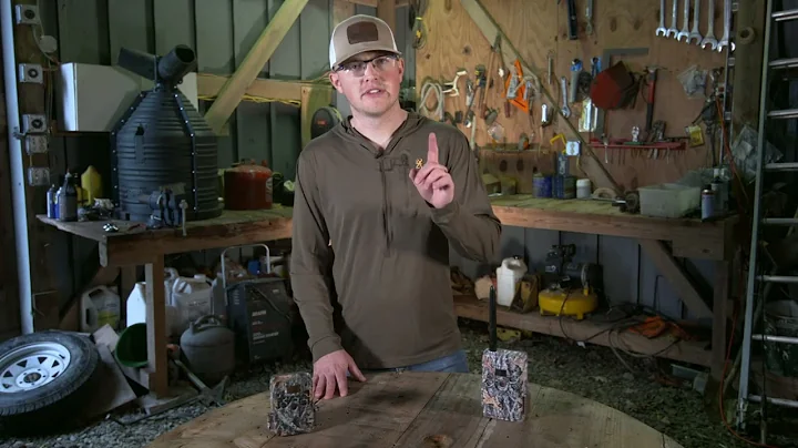 How to Kill a Big Buck During a Post-Rut Morning Hunt