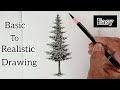Pencil Drawing Of Pine Tree For Beginners Basic Drawing Realistic Drawing 