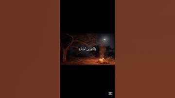 تلاوة خاشعة للشيخ ماهر المعيقلي #ماهر_المعيقلي #قرآن_كريم