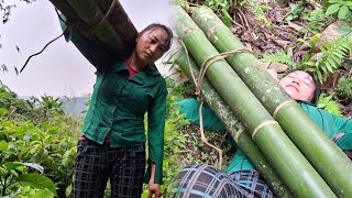 Building a bamboo house in the apricot thi ca forest