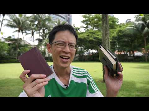 Video: Lukisan Asas: Satu Manusia ' S Sketchbook