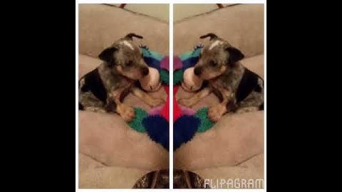 Visual Elements and Image Composition in Time-Based Media