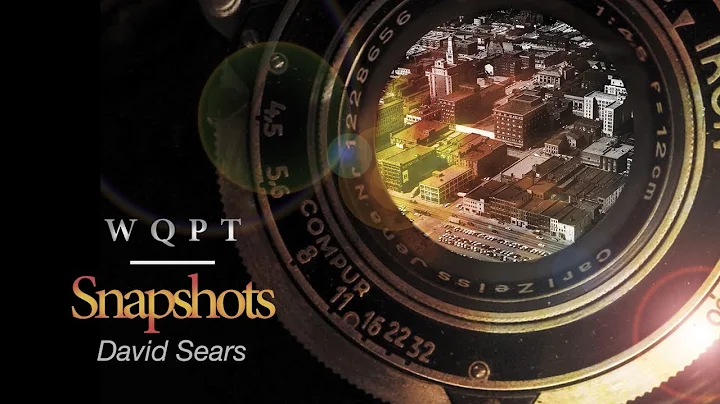 David Sears: Snapshot