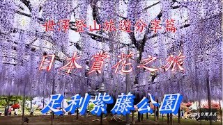 2019日本賞花遊足利紫藤花卉公園