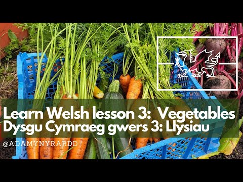Learn the Welsh names for vegetables / Dysgu enwau&rsquo;r llysiau yn Gymraeg