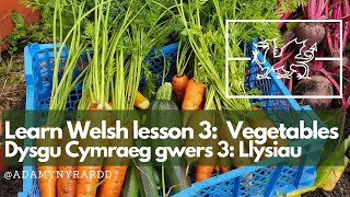 Learn the Welsh names for vegetables / Dysgu enwau'r llysiau yn Gymraeg