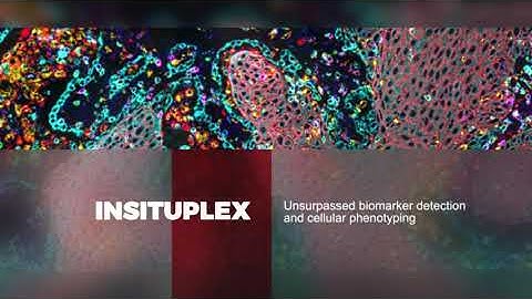 Ultivue - InSituPlex Technology for Multiplex Immunofluorescence