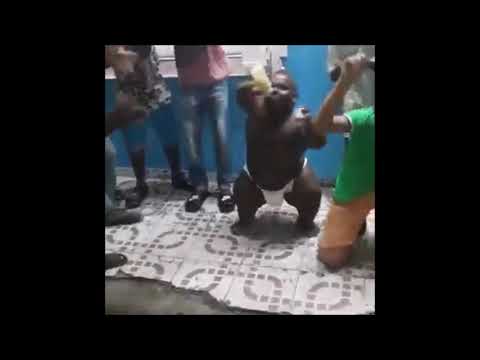 Big Black Baby Dancing to hit it hit it hit it tik tok song