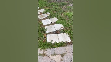 Day 3 of making ugly transitions😮 #shorts #transitions