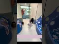 Unglaubliches Kinderzimmer in China! 🛏️🛝 Mini Pool & Rutsche