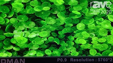 ISE 2020: Ledman Shows Off Its P0.9 COB, HD LED Display