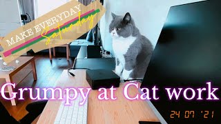 Working from home - Cat in the office - watch if you're working from home by Furry Friend Coco 1,054 views 2 years ago 2 minutes, 11 seconds