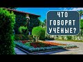 Центр селекции Юга России - Никитский ботанический сад / Что говорят учёные?