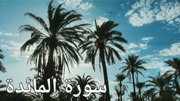 سورة المائدة بصوت هادي تطمئن له القلوب 💗