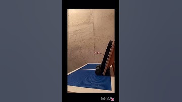 Tasks Failed Successfully Compilation! #shorts #trickshots #trickshot #dudeperfect