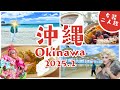 【VLOG】女装二人旅 in 沖縄-枝豆順子編-