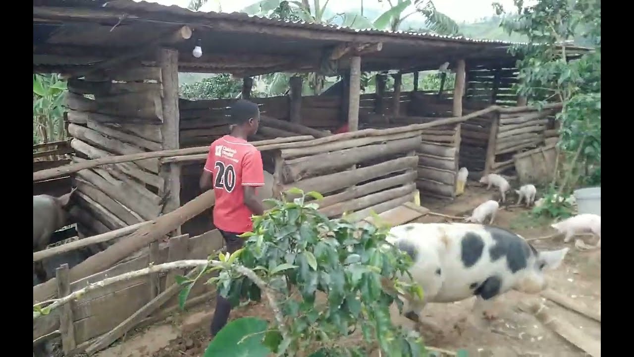 Umushinga uduha amafaranga umusi kumusi