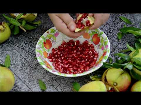 SUCCO DI MELAGRANA FATTO IN CASA